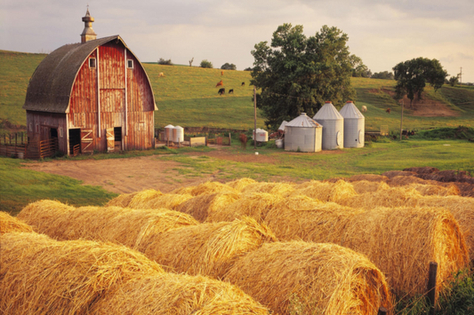 Top 5 Country With Must-Visit Farm Stays In The World