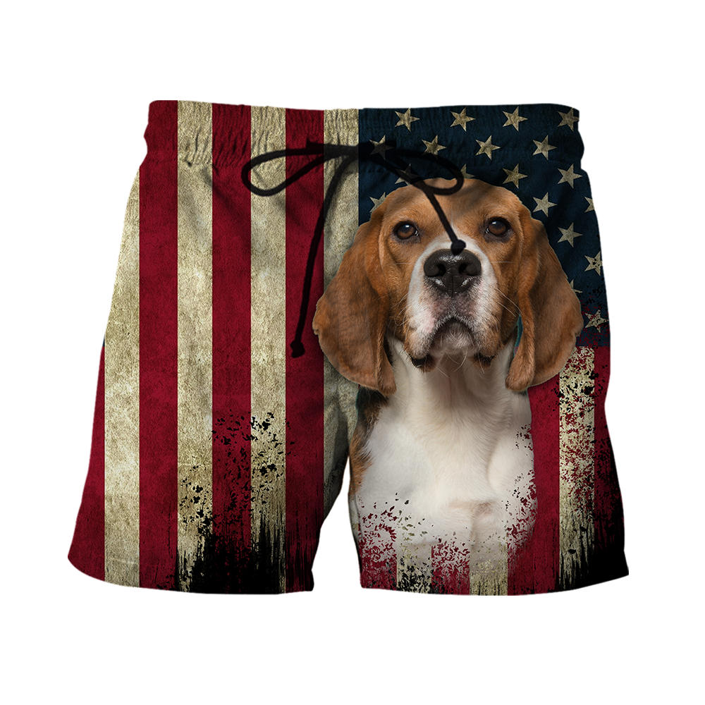 Beagles American Flag 3D All Over Print Hoodie