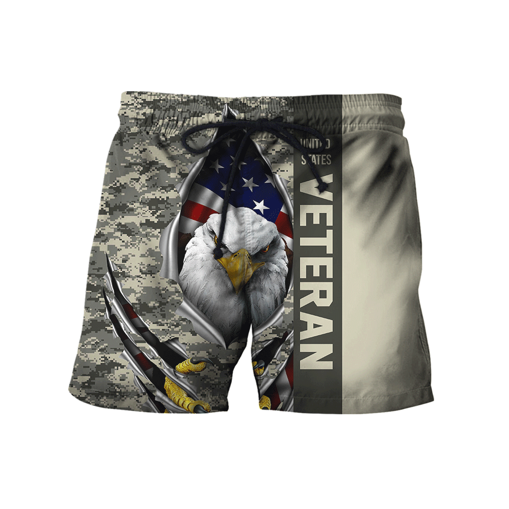 Eagle US Veteran 3D All Over Printed Hoodie AM24052108
