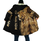 Custom Name June King Lion  3D All Over Printed Unisex Shirts
