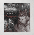 Native American 3D All Over Printed Quilt