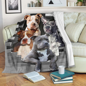 Pitbull - Premium Blanket - Pitbull Lovers SK02-Quilt-NNK-Youth-Vibe Cosy™