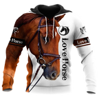 Love Horse 3D All Over Printed Hoodie Pi112056