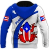 Customize Name Puerto Rico Shirts For Men And Women DD23012105