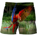 3D All Over Print Parrot Macaw Incoming Hoodie-Apparel-PHL-Shorts-S-Vibe Cosy™