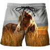 3D All Over Printing Horse Darraweit Guim Shirts-Apparel-Phaethon-SHORTS-S-Vibe Cosy™