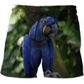 3D All Over Print Blue Macaw Parrot Hoodie-Apparel-PHL-Shorts-S-Vibe Cosy™