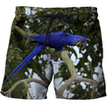3D All Over Print Beautiful Blue Macaw Parrot Hoodie-Apparel-PHL-Shorts-S-Vibe Cosy™