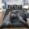 Cute Short Hair Scottish Cat Bedding Set MH12012105