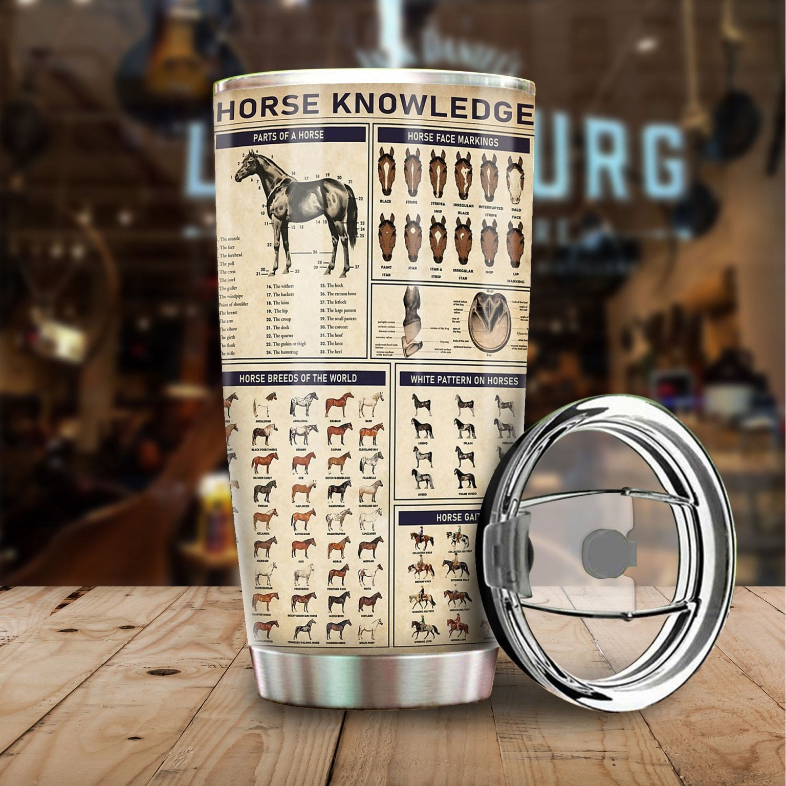 Horse Knowledge Stainless Steel Tumbler TA031615-TA-Vibe Cosy™