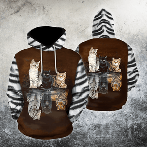 Three Cute Cats On The Mirror Hoodie For Men And Women TQH201005