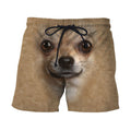 3D All Over Print Chihuahua Face-Apparel-NTT-SHORTS-S-Vibe Cosy™