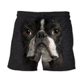 3D All Over Print Boston Terrier Face-Apparel-NTT-SHORTS-S-Vibe Cosy™