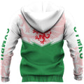 Wales Flag Hoodie - Energy Style PL-Apparel-PL8386-Hoodie-S-Vibe Cosy™