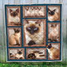 Siamese Cat Quilt Blanket MH04032103