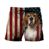 Beagles American Flag 3D All Over Print Hoodie