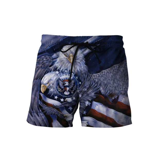 American Spirit Eagle 3D All Over Print  Hoodie DL20219