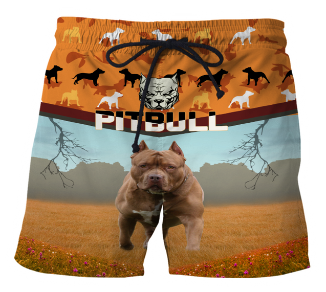 Pitbull 3d hoodie shirt for men and women HVT07112002