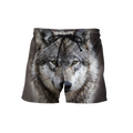 Wolf 3D All Over Printed Hoodie For Men and Women DQB08292005