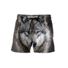 Wolf 3D All Over Printed Hoodie For Men and Women DQB08292005