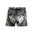 Wolf 3D All Over Printed Hoodie For Men and Women DQB10052001