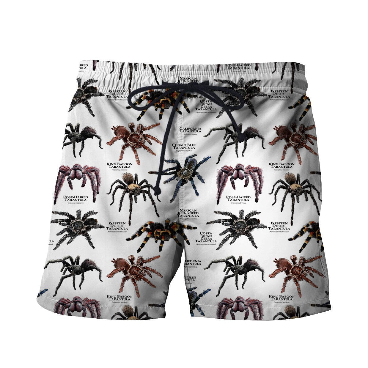 3D All Over Printed Tarantulas of the World Shirts-Apparel-6teenth World-SHORTS-S-Vibe Cosy™