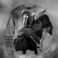 3D All Over Print Professional Bull Riders-Apparel-PHLong-Sweatshirt-S-Vibe Cosy™