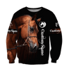 Arabian Horse Custom Name 3D All Over Printed Shirts TA1006206