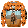 Pitbull 3d hoodie shirt for men and women HVT07112002