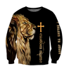 3D All Over Printed Shirts For Men and Women HHT21092004