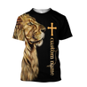 3D All Over Printed Shirts For Men and Women HHT21092004