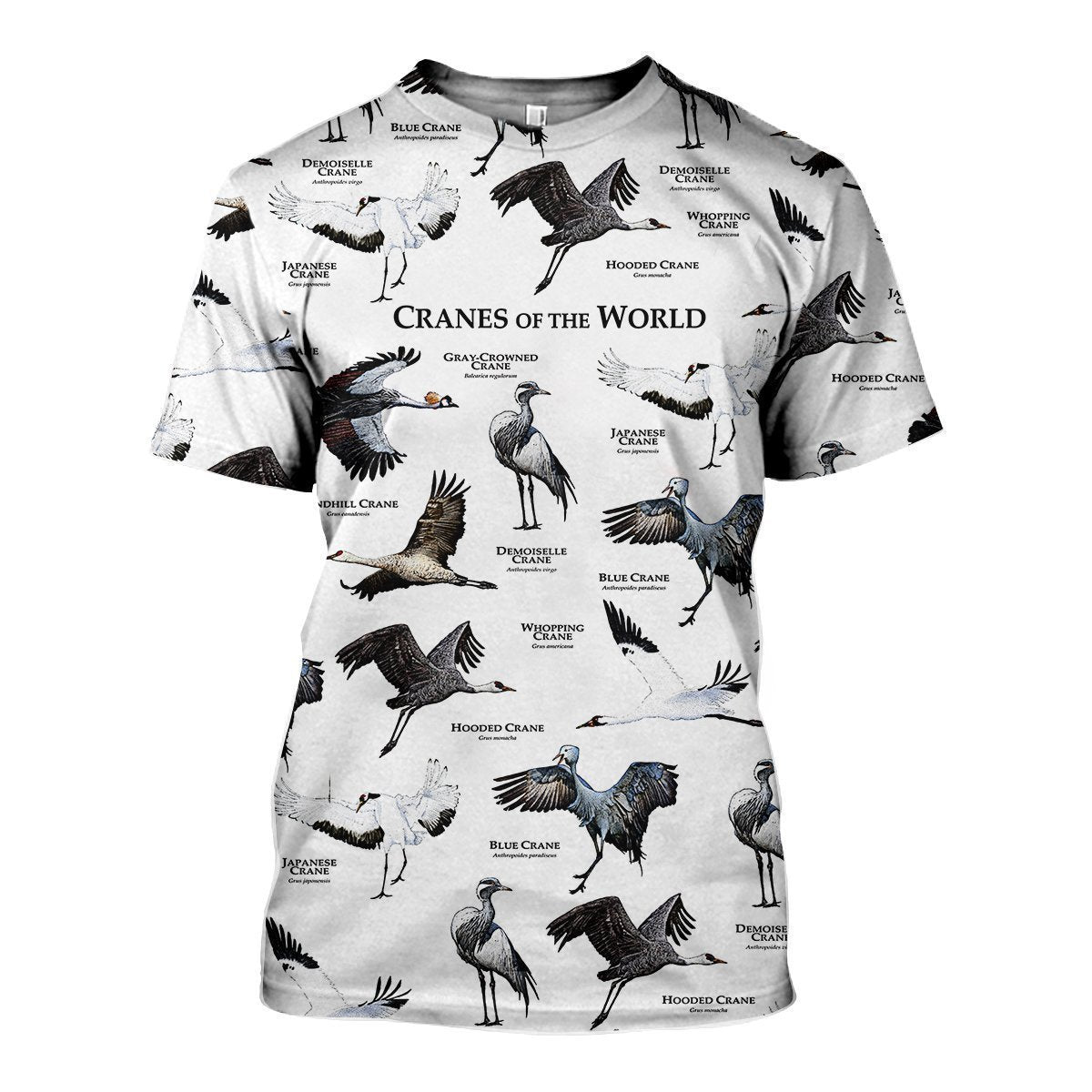 3D All Over Printed Cranes Of The World Shirts And Shorts-Apparel-HP Arts-T-Shirt-S-Vibe Cosy™