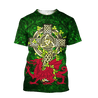 Wales Saint Patrick's Day 3D All Over Printed Shirts For Men And Women TN