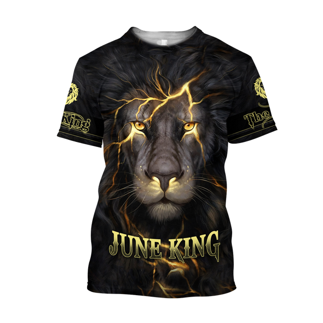 June Lion 3D All Over Printed Unisex Hoodie