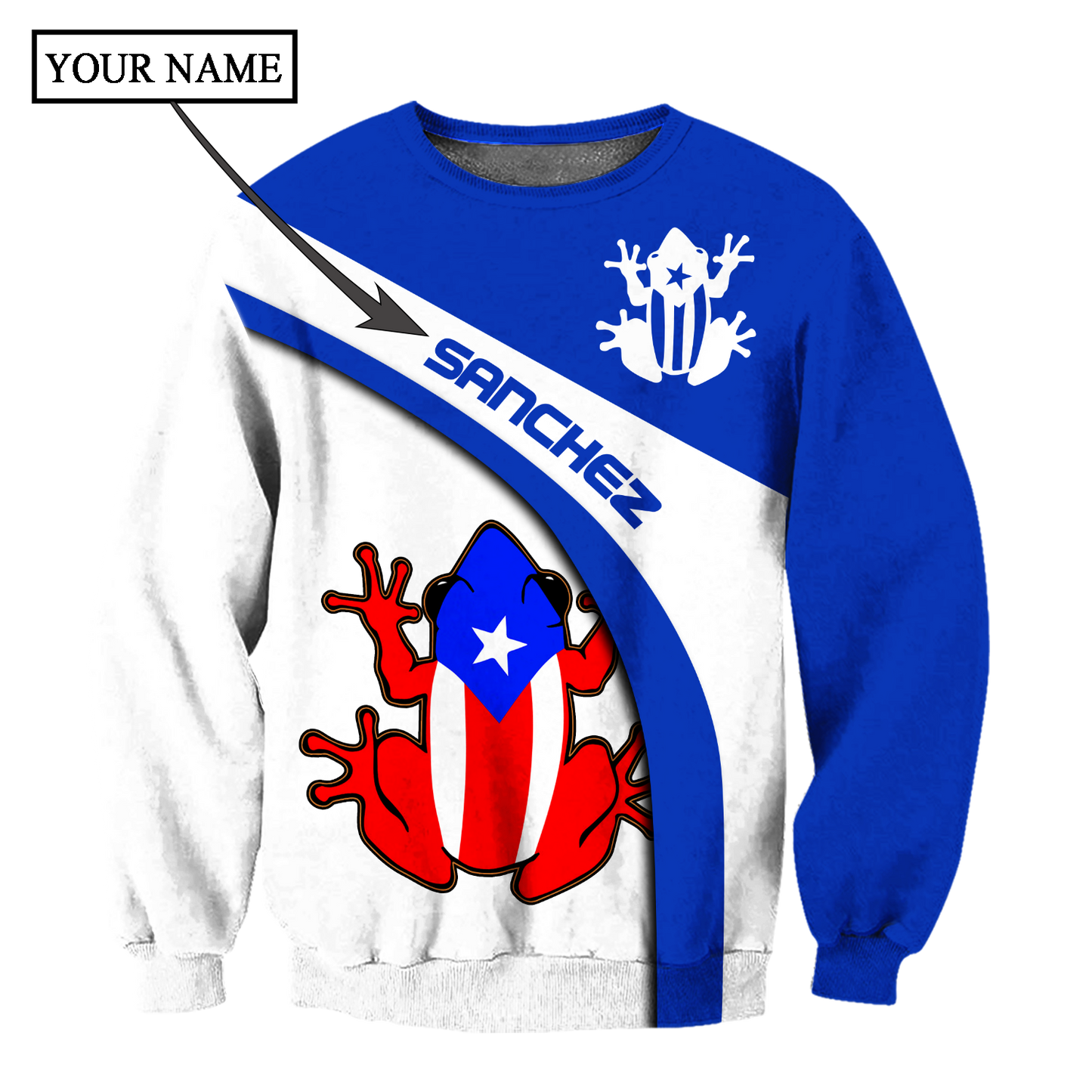 Customize Name Puerto Rico Shirts For Men And Women DD03022101A