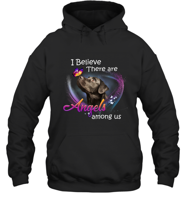 Pi281217 Black Labrador-Apparel-Amsbk-Hoodie-Black-S-Vibe Cosy™