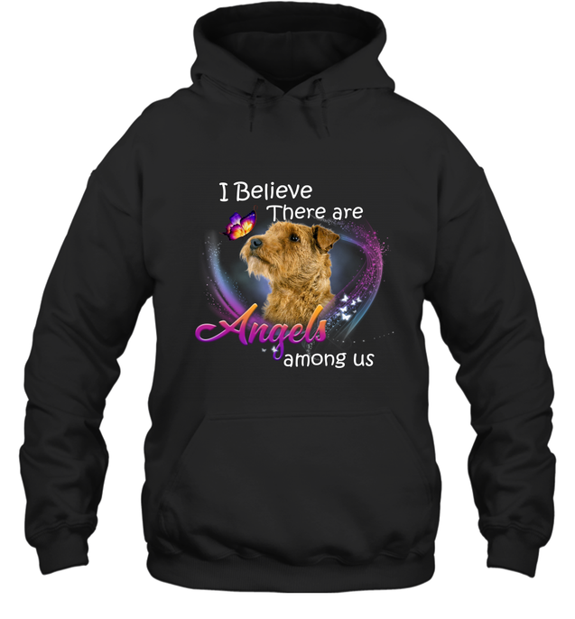 Pi281209 Irish Terrier-Apparel-Amsbk-Hoodie-Black-S-Vibe Cosy™