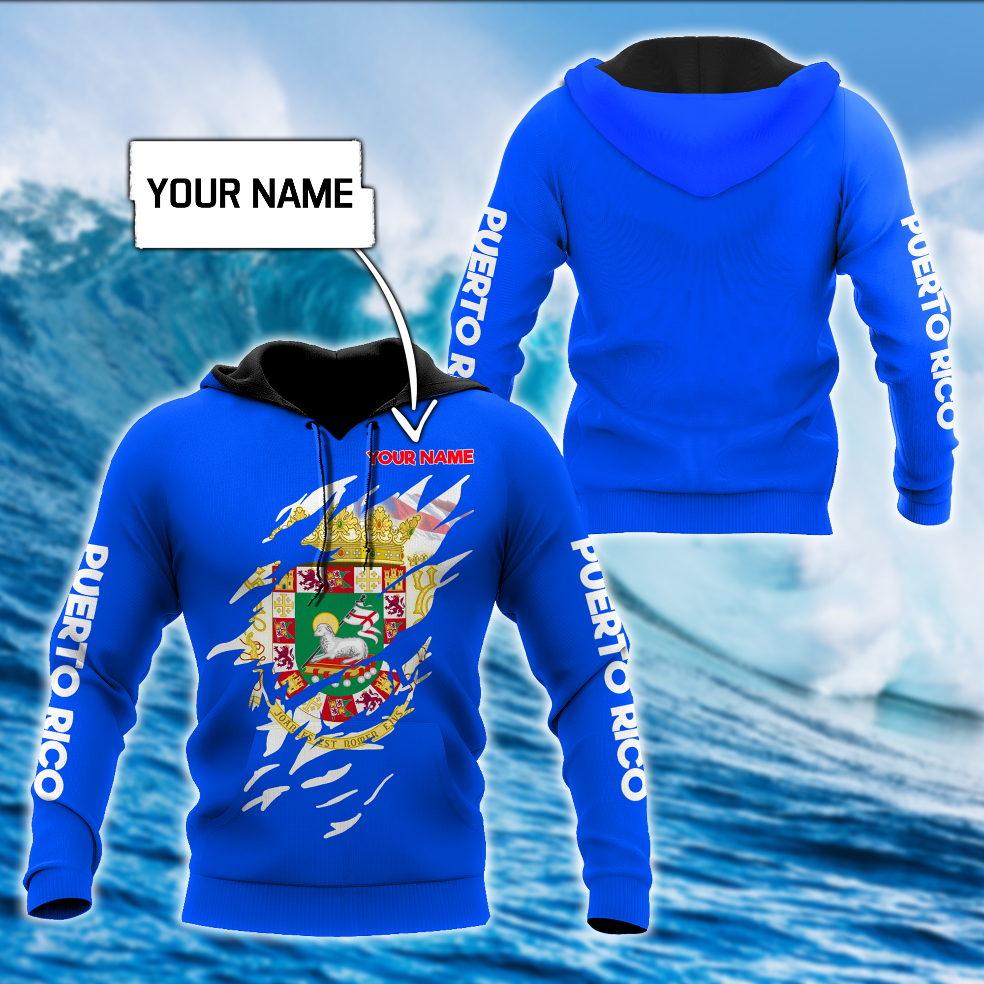 Customize Name Puerto Rico Hoodie For Men And Women MH19032102