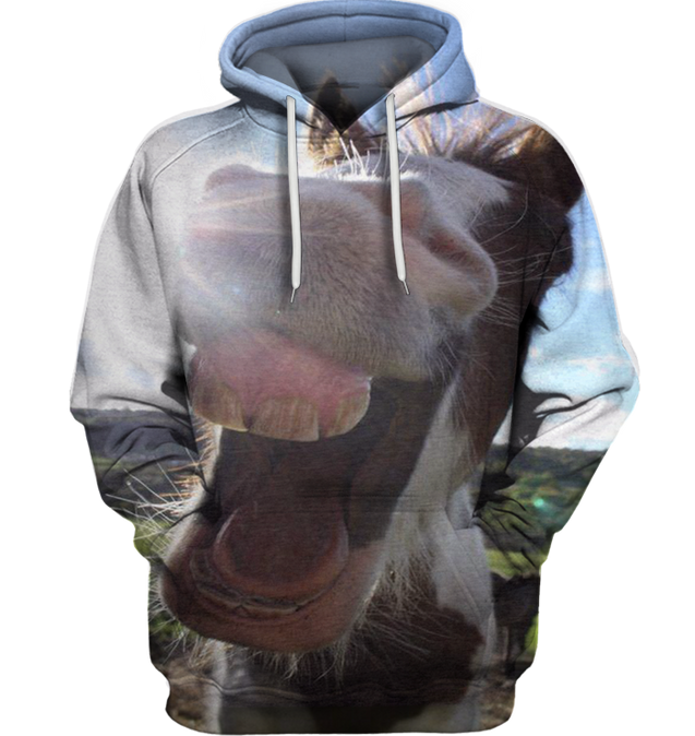 3D All Over Print Funny Donkey Shirt-Apparel-6teenth World-Hoodie-S-Vibe Cosy™