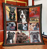 American Pit Bull Terrier Quilt Pi07102003