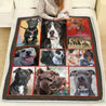 American Pit Bull Terrier Quilt Pi07102003