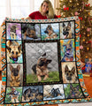 A Home with German Shepherd 3D Quilt DL20282011