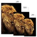 The Best Lion Combo Rug