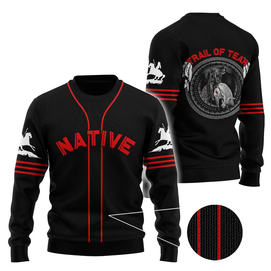 Native American Pride 3D All Over Printed Unisex Shirt